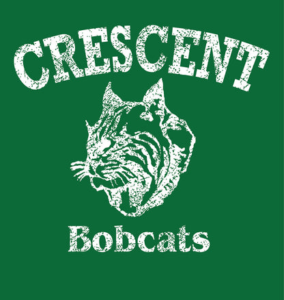 Youth Heavy Blend Hoodie Green Bobcats