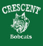 Youth Heavy Blend Hoodie Green Bobcats