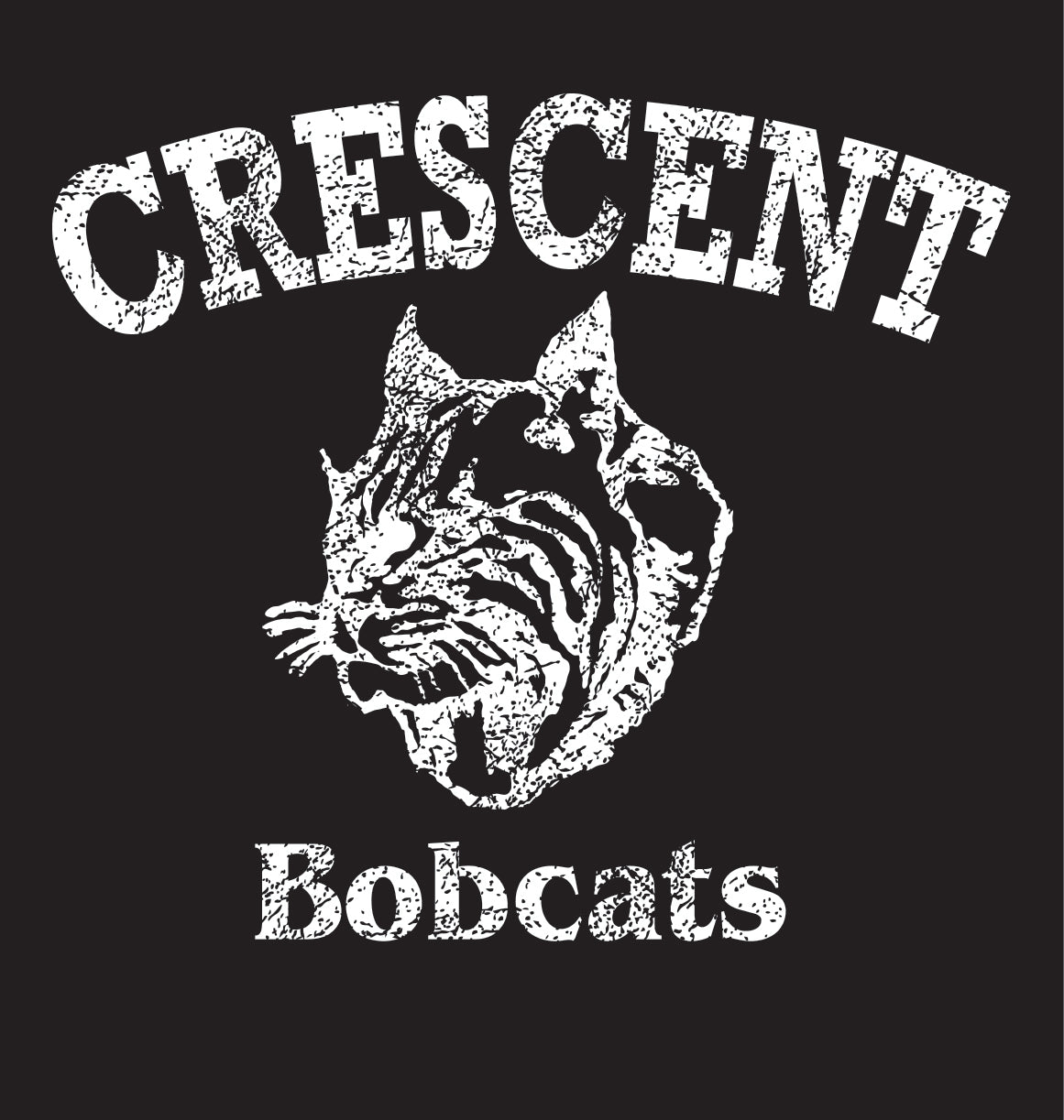 Youth Heavy Cotton Tee Black Bobcats
