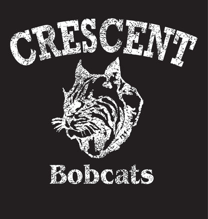 Youth Heavy Cotton Tee Black Bobcats