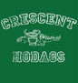 Youth Heavy Blend Hoodie Green Hodags